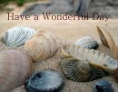 Have a wonderful day