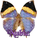 Nubia's butterfly