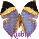 Nubia's larger butterfly