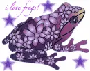 hippy frog