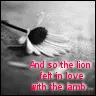 Twilight, lion&lamb