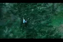 Twilight