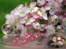 islamic