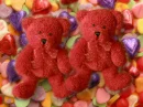 Valentine Bears