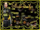 elliott sadler