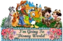 Disney World Vacation