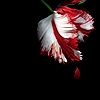 Twilight