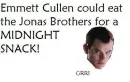 emmett cullen