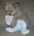 Sooo cute 