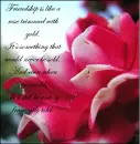 Friendship