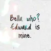 Twilight Saga