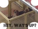 hey, wat's up?
