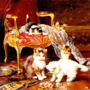 cats