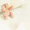 teddy