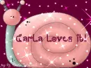 Carla Loves It