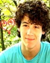 nick jonas