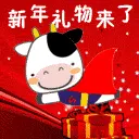 chinese new year gift