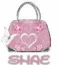 Purse with Shae name