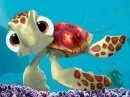 cute turtle from nemo