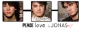 Jonas Brothers