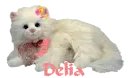 Delia Kitty 