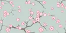 cherry blossom