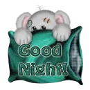 Good Night!