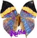 Nubia, redo, butterfly