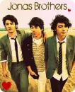 jonas brothers