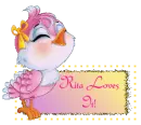 Bird - Rita Loves It