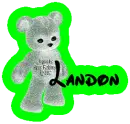 Landon's Bear