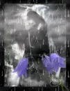 love in the rain