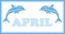 April Dolphins