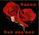 how are you?