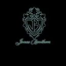JONAS BROTHERS