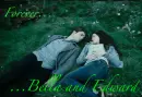 twilight