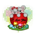Colorful Creddy