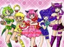 Tokyo mew mew