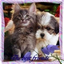 FOR MY FRIEND