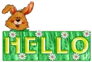 Hello