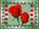 Red Roses