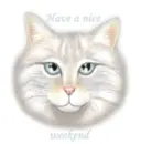 meow