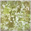 JUNGLE
