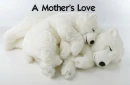 A mothers Love