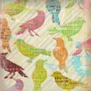 BIRDS