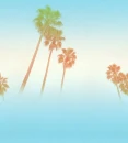 SURF