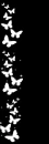 BUTTERFLYS