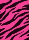 HOT ZEBRA