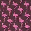 FLAMINGOS