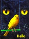 Watching you